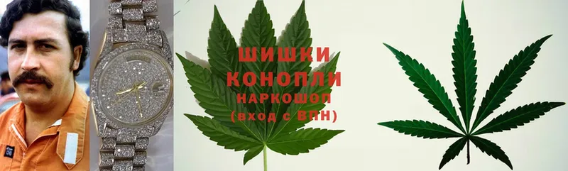 Каннабис White Widow  гидра tor  Алейск  купить  